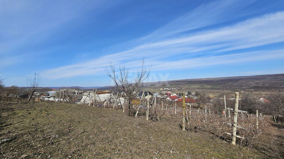 Teren pentru construcții 10 ari Vasieni, Ialoveni - Poză 8
