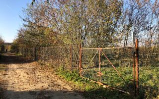 Teren intravilan de vanzare | 12.650 mp | Ghirdoveni, | COMISION 0% - Poză 9