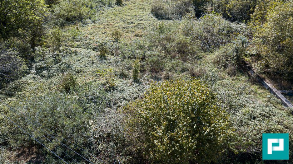 Teren ideal pentru casă de vacanță - Poză 10