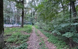 192842 mp teren in Padurea Baneasa proiect exclusivist - Poză 10