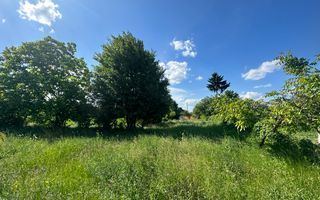 Teren Vanzare 11.000 MP Ghirdoveni | COMISION 0% - Poză 13