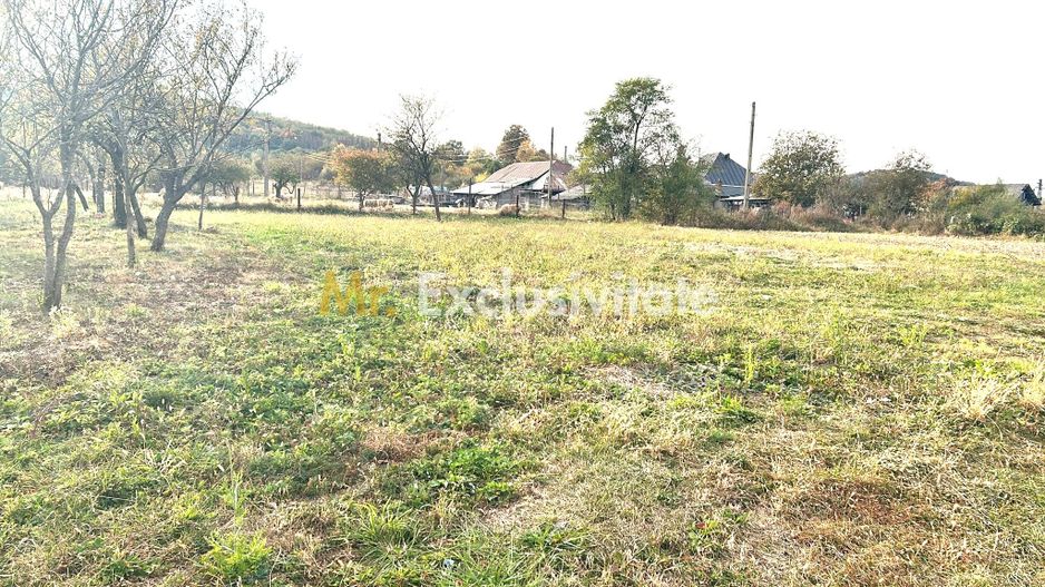 Teren intravilan – 1.135 mp, sat Crampotani, com. Merisani - Poză 1