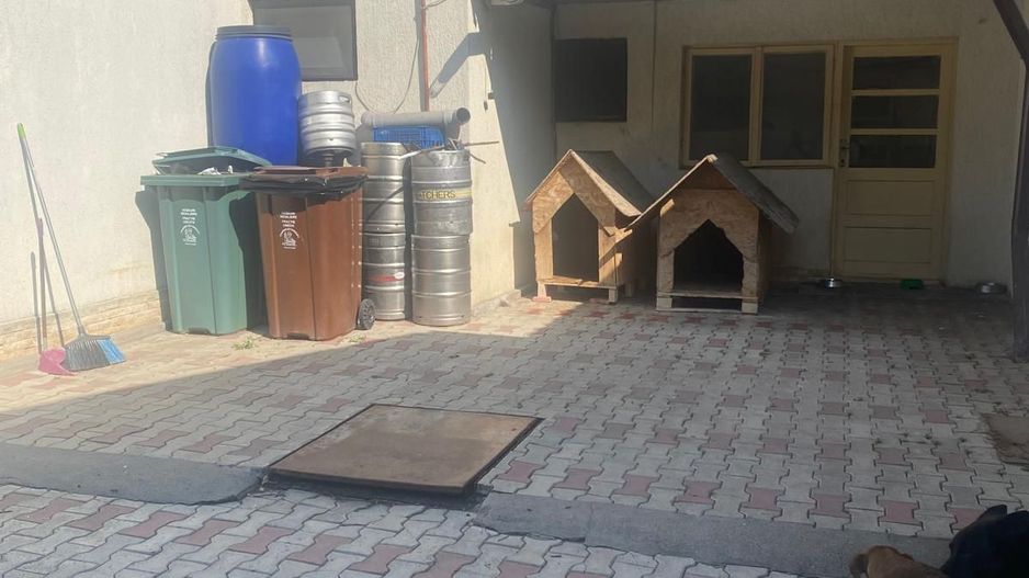 CASA BANEASA 10 CAMERE, MOBILAT, CENTRALA, TEREN 500 MP, COMISION 0% - Poză 18