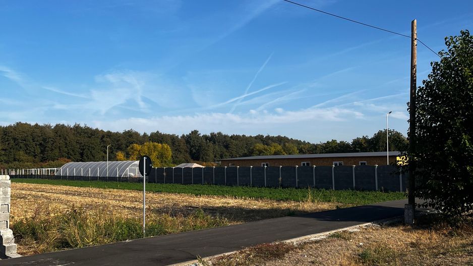 De vanzare 2 terenuri intravilane in Santau Mic – 1.000 mp fiecare - Poză 3