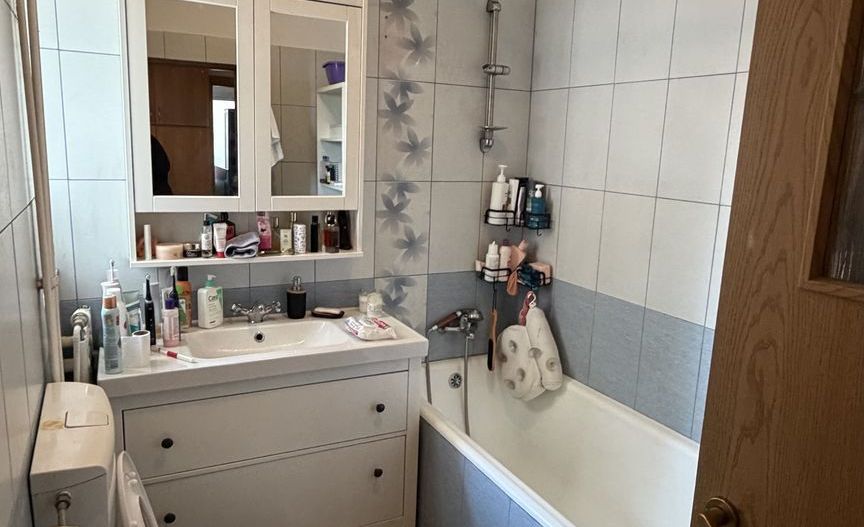Apartament ultracentral Crisana // Cismigiu - Poză 13