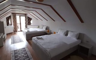 Pensiune superba in Muntii Apuseni, 2740 mp teren. COMISION ZERO! - Poză 20