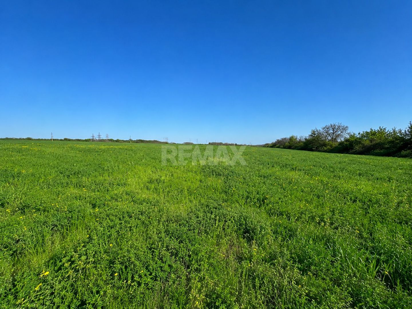 Teren agricol de 40 ari în Ghidighici – oportunitate pentru investiție sau activitate agricolă - Poză 4