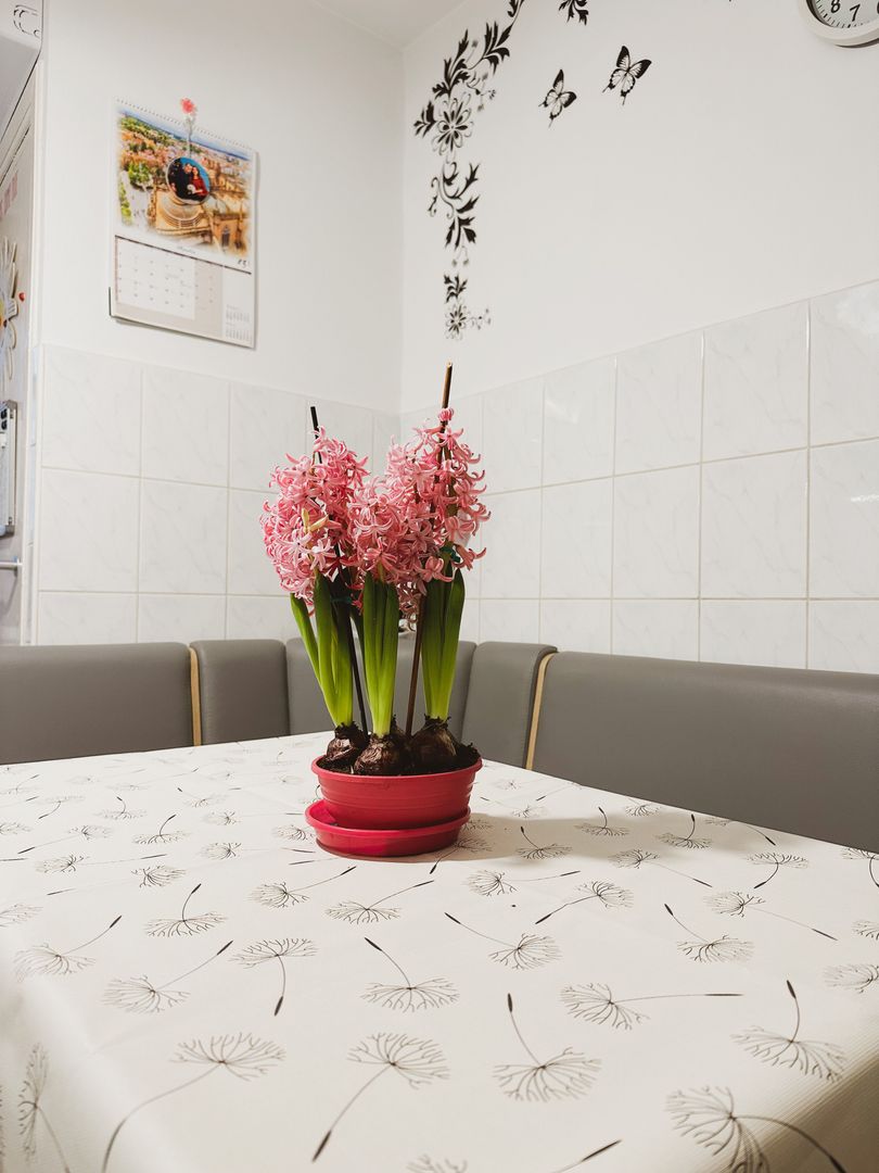 VANDUT - 2 camere - Telegrafului - Poză 8