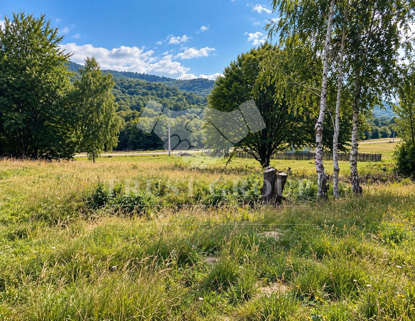 Teren de vânzare 1.300 mp în Râșnov | Proiect Glamping & Tiny Houses | - Poză 8
