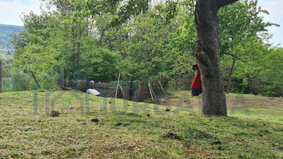 Urgent Teren și Casă Bătrânească - Poză 4