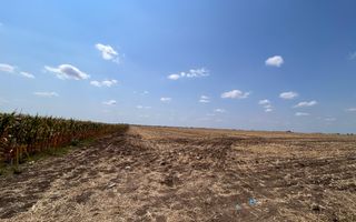 Teren intravilan de vanzare in Pielesti - Poză 4