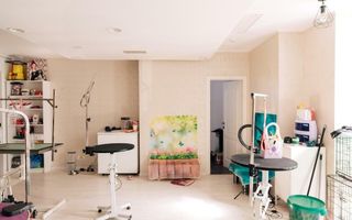 Spatiu comercial de inchiriat - Unirii - Poză 14