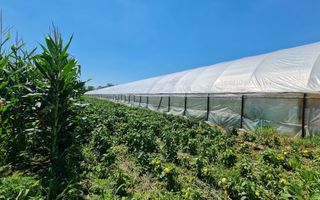 Afacere la cheie! Incasari din prima zi!!! - Poză 1