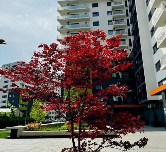 PRIMA RESIDENCE APARTAMENT LUX - Poză 1