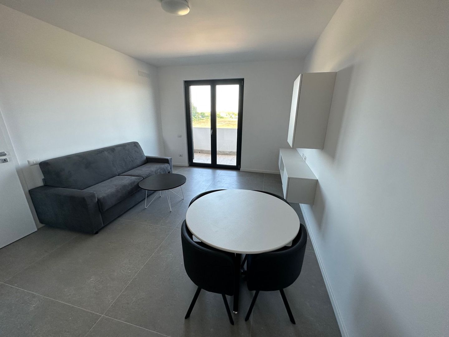 Apartament 1 camere Torontalului - Veterinary Faculty - Poză 4