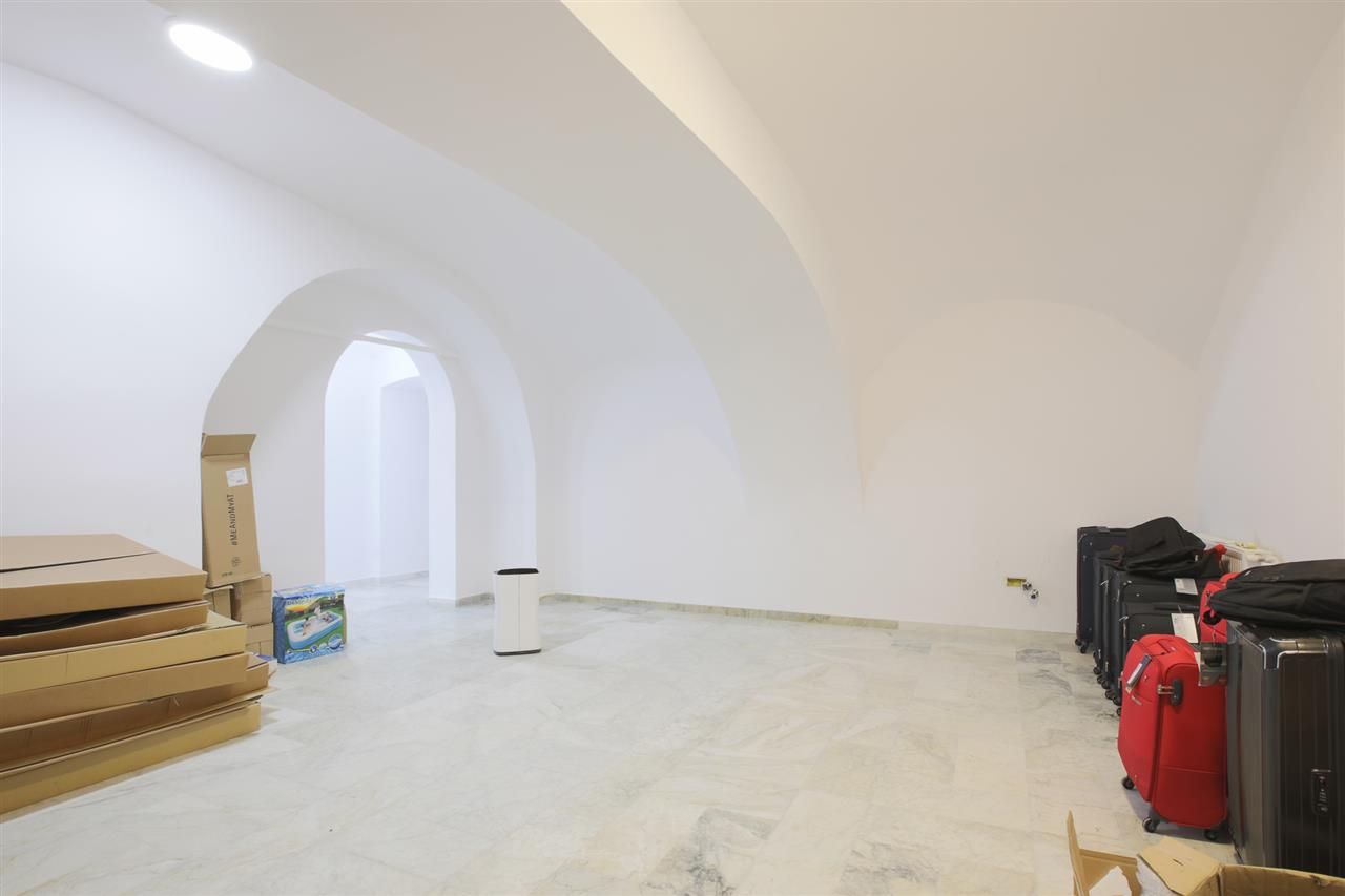 Sub mantia arhitecturala istorica a Cetatii Timisoarei, Spatiu comercial - Poză 25