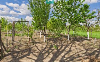 Casă la doar 6km de graniță cu România - Poză 3