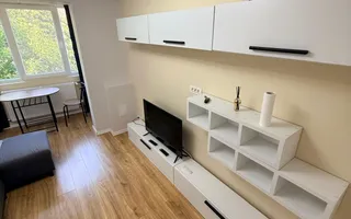 2 camere, zona Sala Olimpia - stadion Dan Paltinisan -Complex Studentesc - Poză 18