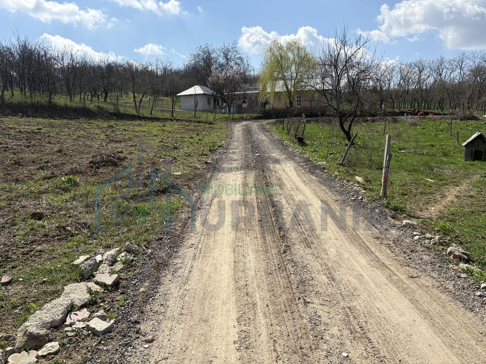 Terenuri intravilan în satul Vladiceni, comuna Tomești - Poză 1