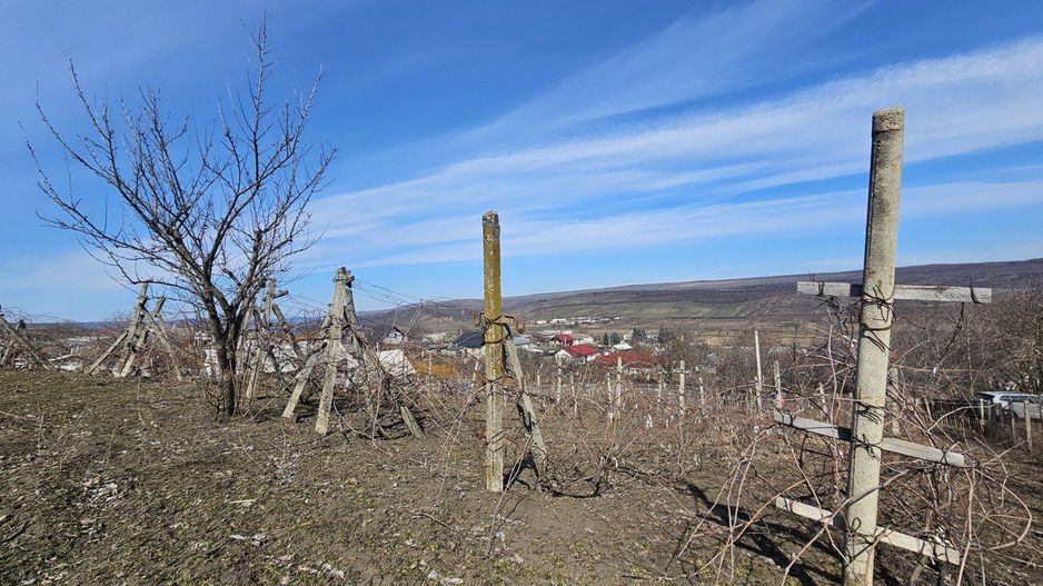 Teren pentru construcții 10 ari Vasieni, Ialoveni - Poză 9