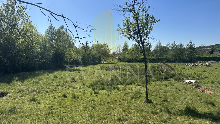 Teren 1000MP | Tautii Magheraus | strada 58 - Poză 3