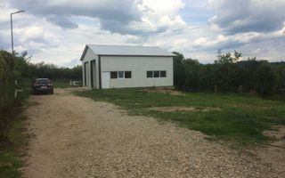 Vanzare hala si teren, Maracineni - Poză 5