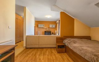 Apartament 1 camera zona Elisabetin - Poză 3