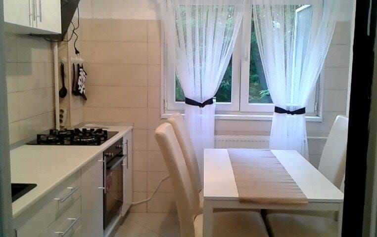 Apartament 2 camere de vanzare Gorjului - Poză 14