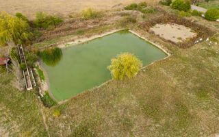 Teren intravilan cu iazuri și casă - Chișineu-Criș - Poză 31