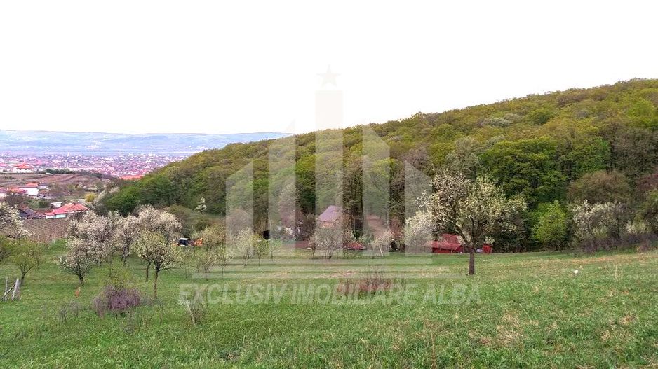 Teren intravilan de vanzare, Seigau - Poză 3