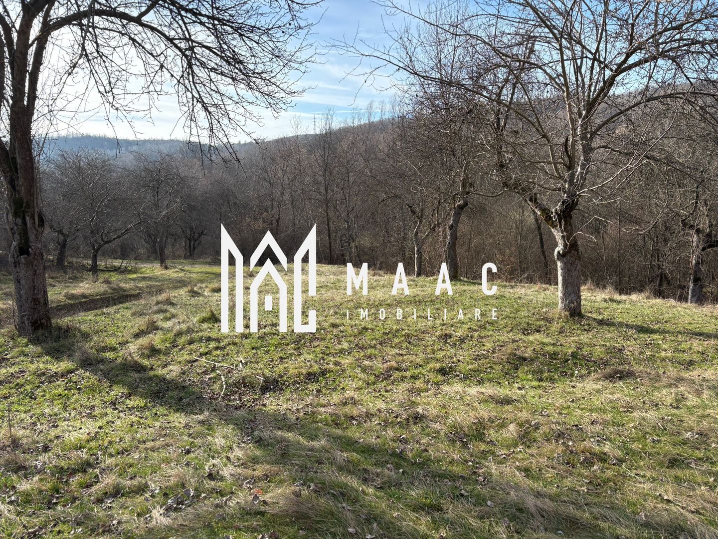 Teren de vânzare, 7750 mp I Orientare sudică I Caineni - Poză 5