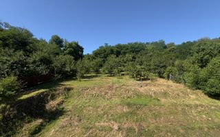 Vilă P+M cu teren de 4.200 mp – Onești - Poză 35