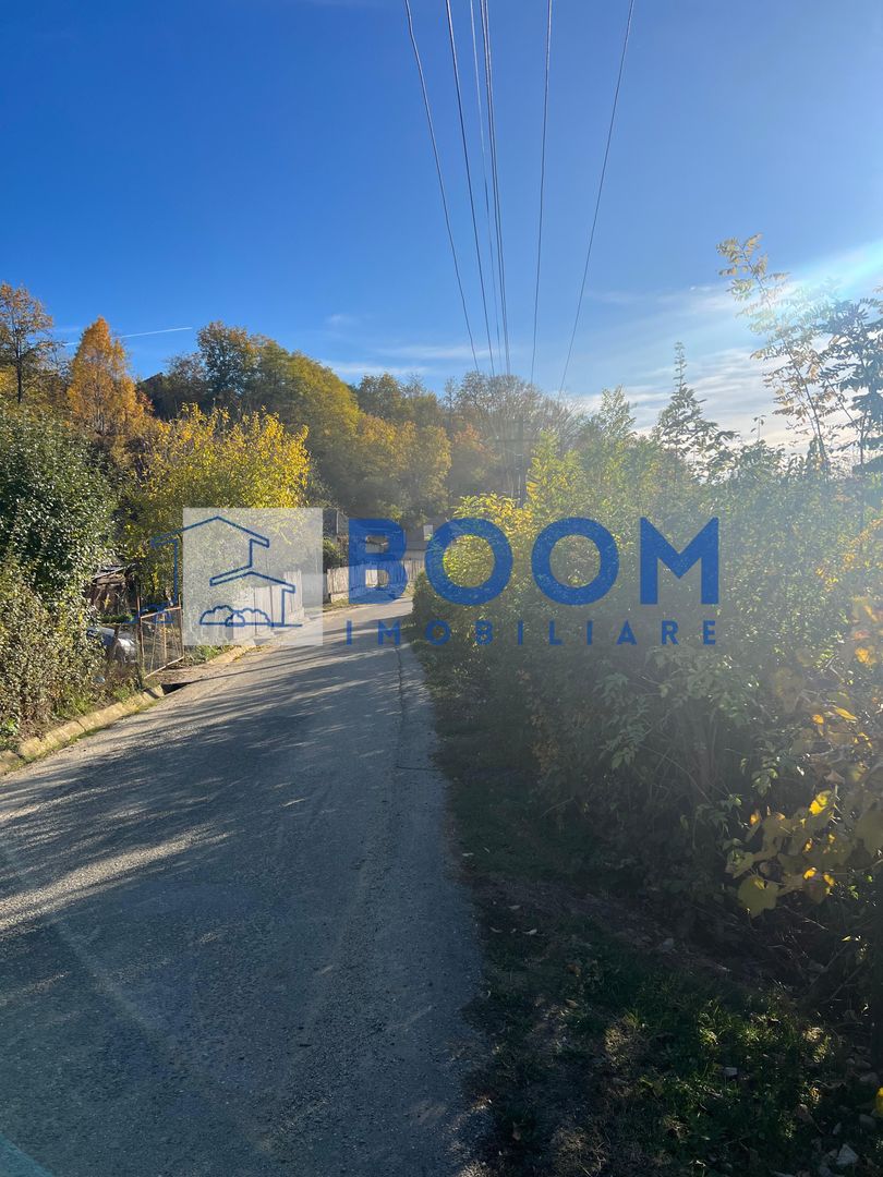 Teren | Vladesti | 1000 MP - Poză 5