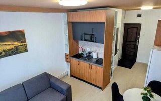 Studio, 44 mp, parcare, Zona UMFST - Poză 3