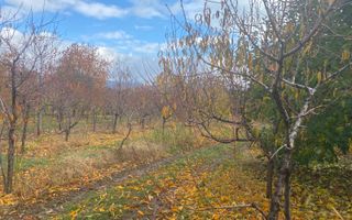 Vanzare casă spațioasă cu teren generos în Cândești Vale–jud Dambovita - Poză 21