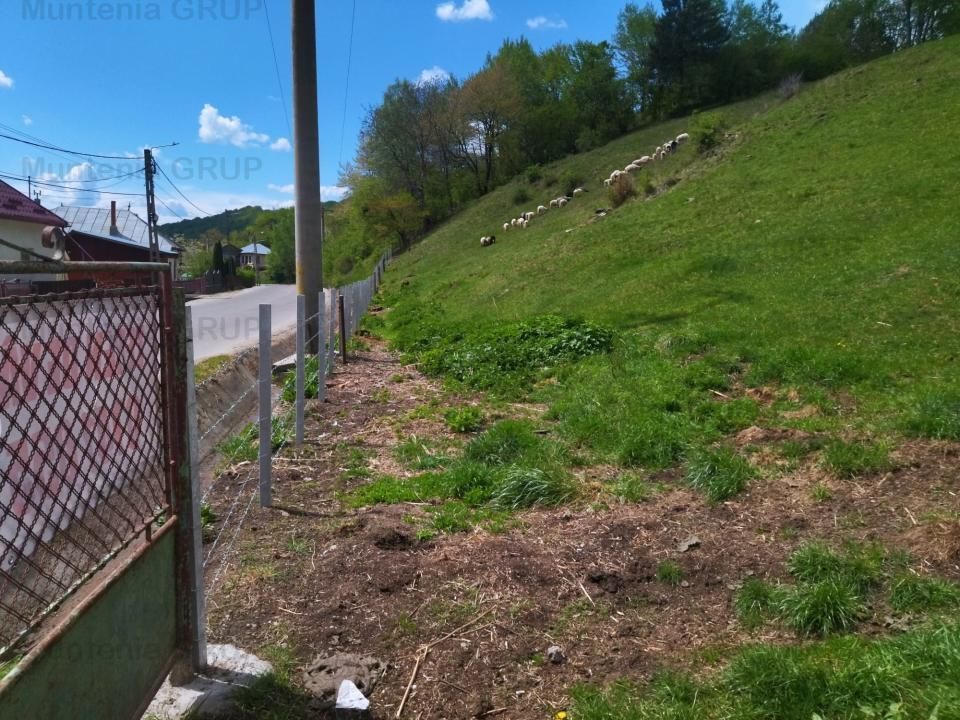 NAMAESTI - Valea Mare Pravat, 7000 mp. teren intravilan, ideal locuinta - Poză 5