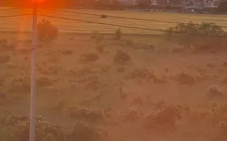 Vila in Otopeni, constructie noua, moderna, acces facil, comunitate - Poză 12