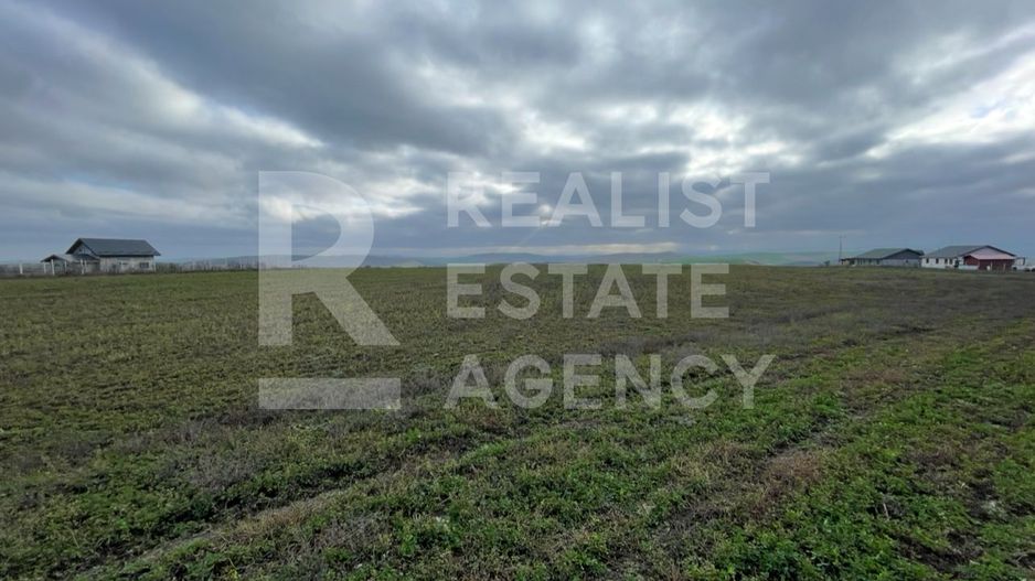 Teren 10.000 mp: 5.000 mp intravilan + 5.000 mp extravilan – Horlești - Poză 3