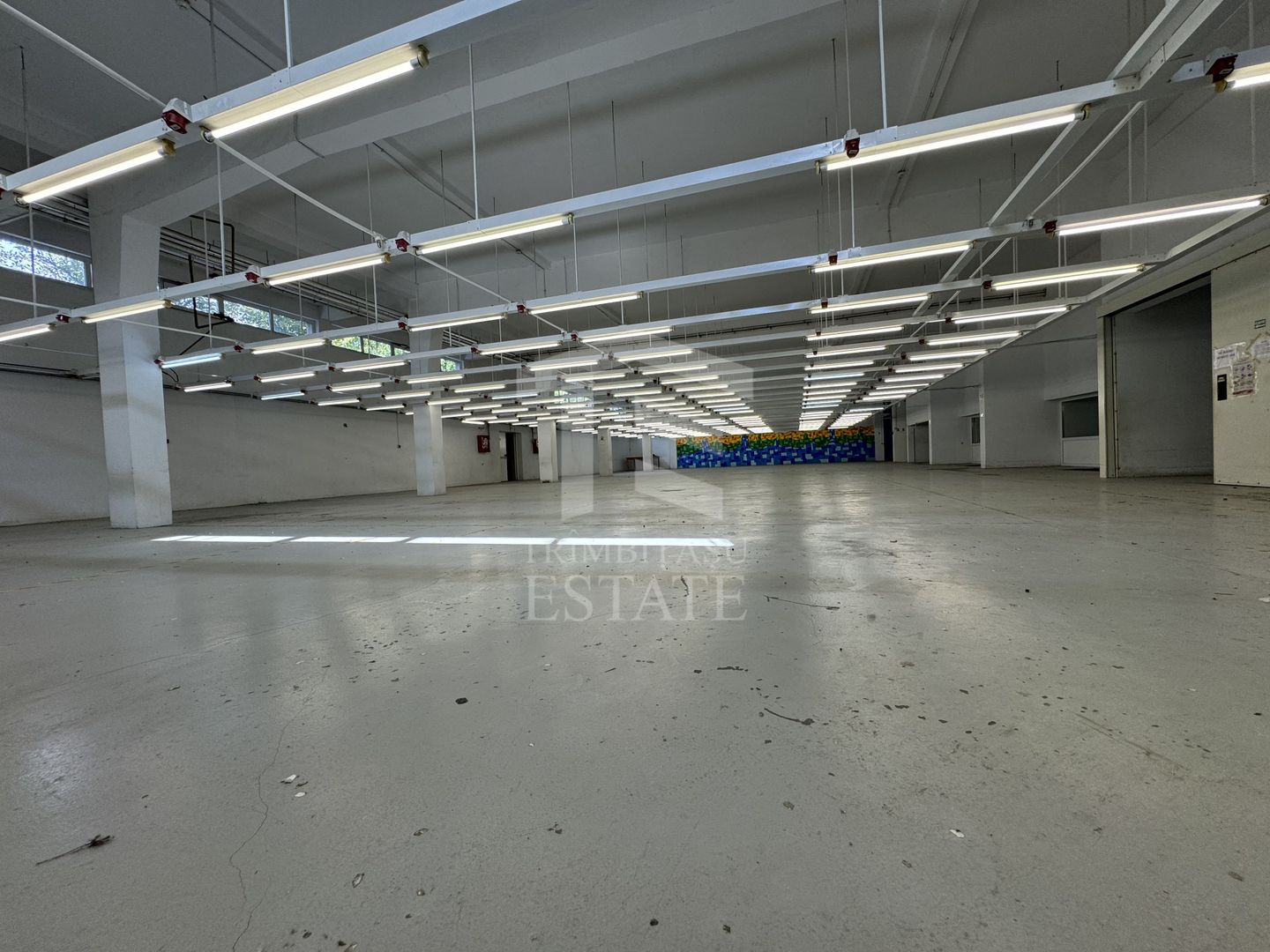 Hala productie P+1 si apartament de serviciu Navodari - c-tie beton - Poză 4