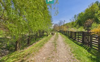 Casă Câmpani, 8000 mp teren, la poalele Apusenilor - Poză 21