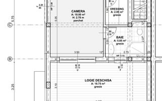 Casa noua, proiect deosebit Selimbar, Sibiu - Poză 6