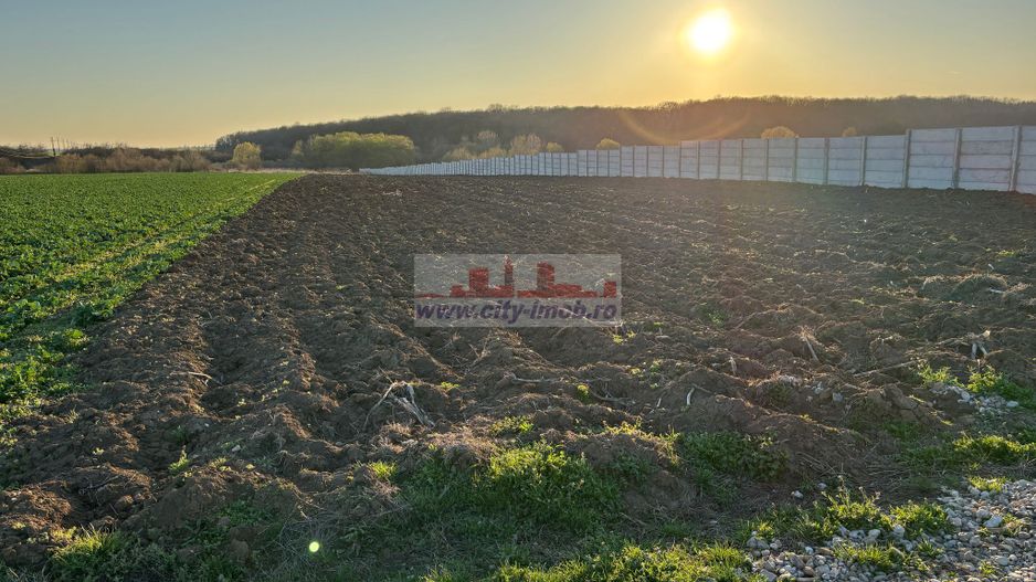 Vanzare teren constructie casa Snagov Sat Izvorani , Jud Ilfov - Poză 1