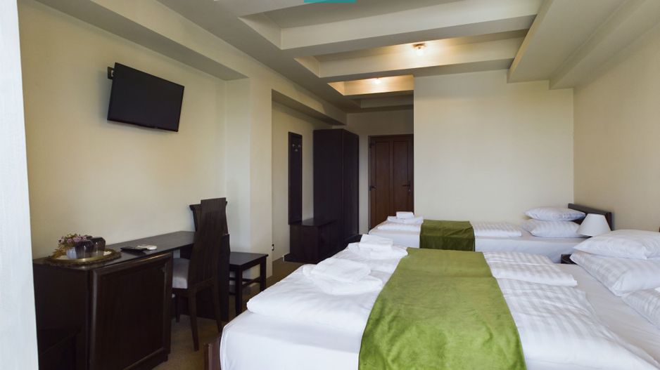 Afacere la cheie în Arad - Poză 25