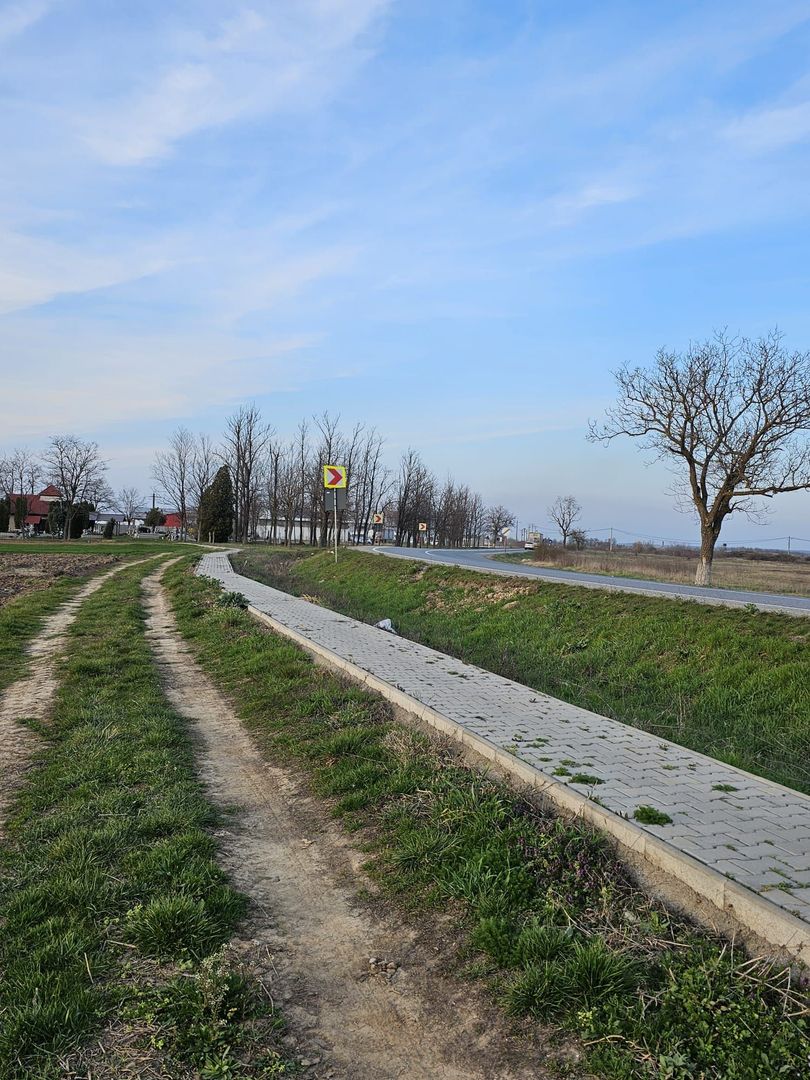 Teren 21600 mp in apropiere de Autostrada Transulvania - Poză 4