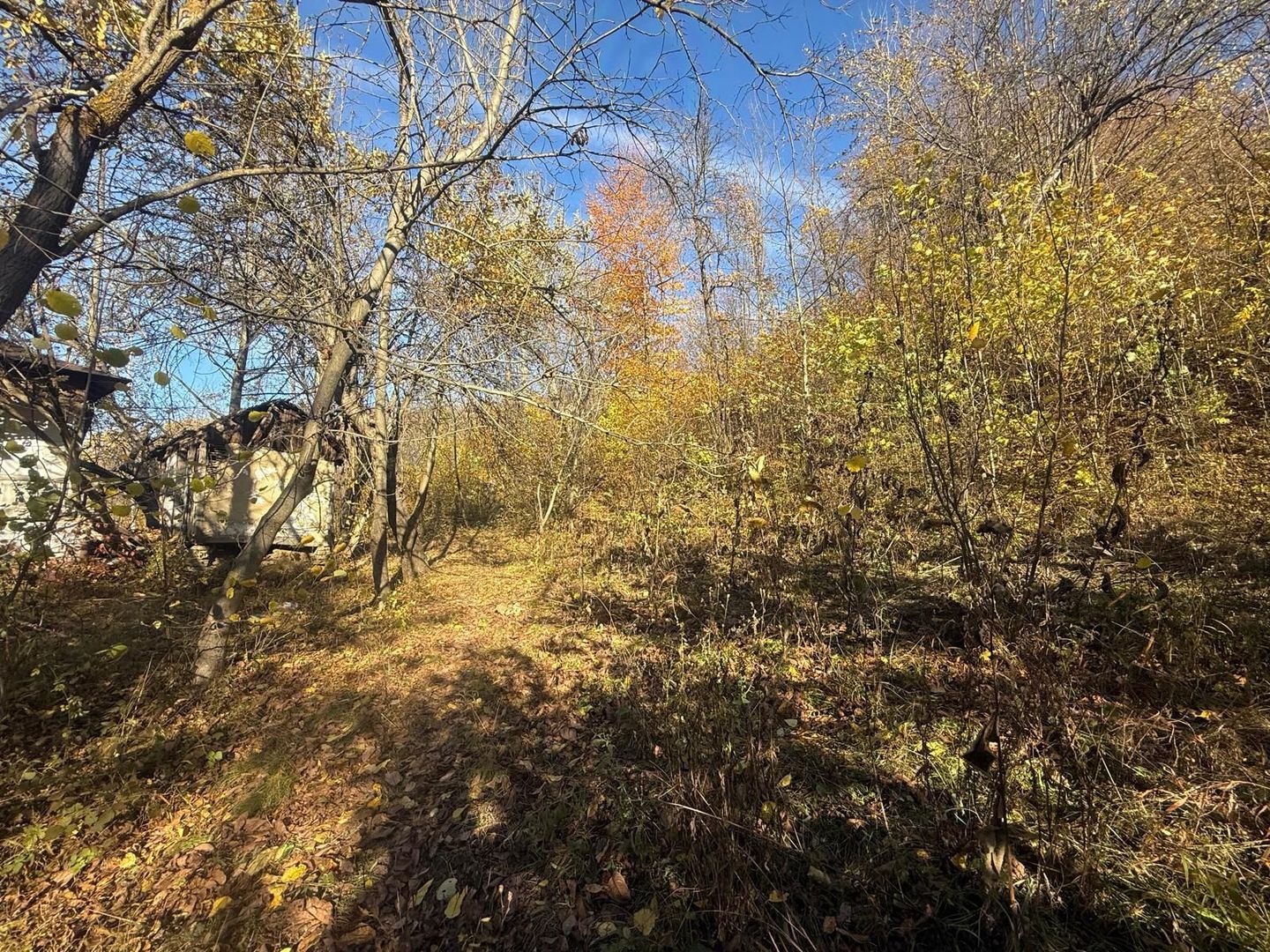 Teren langa pădure 6400mp+casa demolabila-deschidere 35 ml - Poză 3