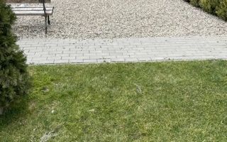 Apartament 3 camere Calea Torontalului etaj 1 - Poză 9