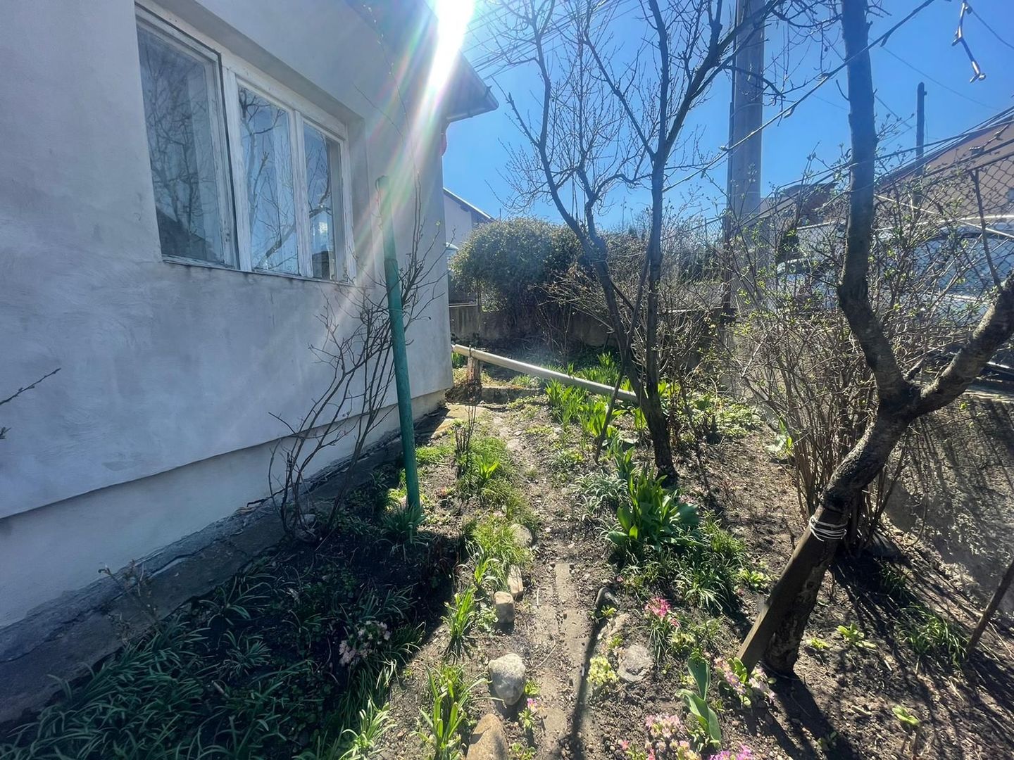 Casă de vânzare renovabilă | Gruia | Teren 380 mp | Front la 2 străzi - Poză 3