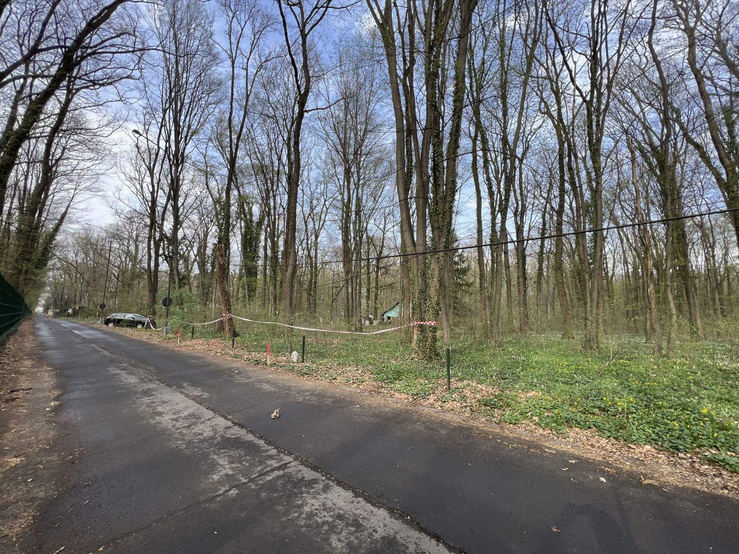 192842 mp teren in Padurea Baneasa proiect exclusivist - Poză 11