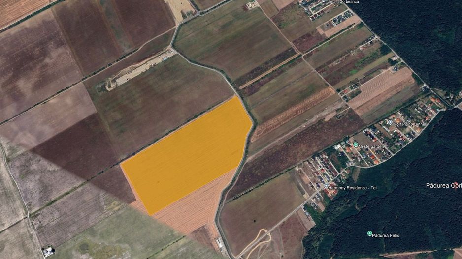 Teren 26 ha – Tamaș, Corbeanca - Schiță 6