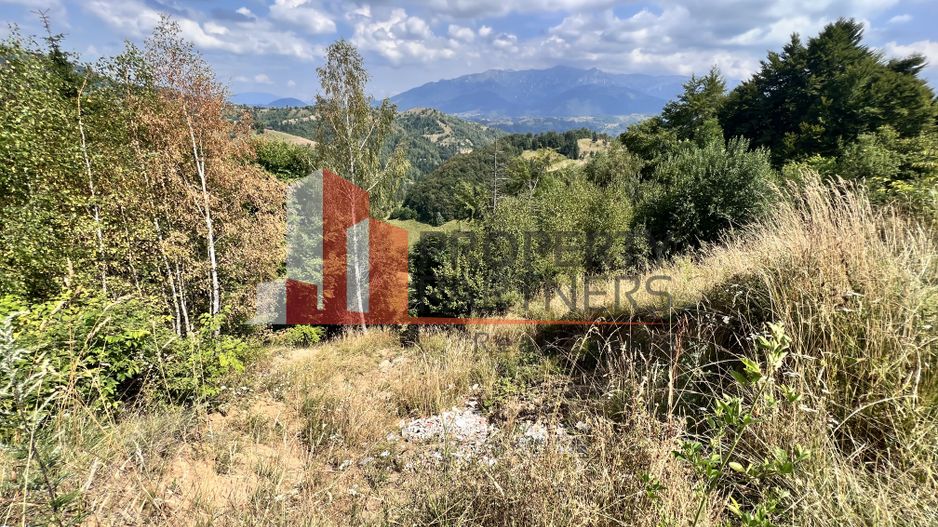 Teren de vânzare langa  Peștera Liliecilor  in Sat Pestera - Poză 28